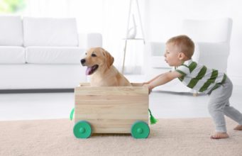 12 Reasons Why Your Child Needs a Dog Reasons Why Kids Need a Dog