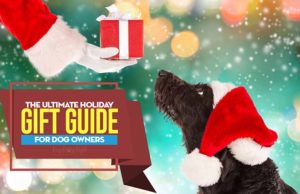 41 Unique Holiday Gifts for Dog Owners and Dog Lovers (Updated 2024)