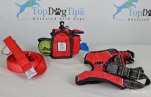 Review: Your Perfect Puppy Harness, Leash and Treat Pouch Your Perfect Puppy Giveaway