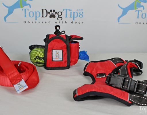 Review: Your Perfect Puppy Harness, Leash and Treat Pouch Your Perfect Puppy Giveaway
