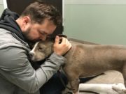 Dog Stolen, Reunited with Owner This Christmas Dog Stolen, Reunited with Owner This Christmas