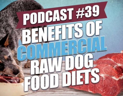 TOP #39: Benefits of Commercial Raw Dog Food Diets