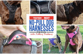 32 Best No-Pull Dog Harnesses for Dogs That Pull Too Much 32 Top Rated Dog Harnesses for Dogs That Pull in 2018