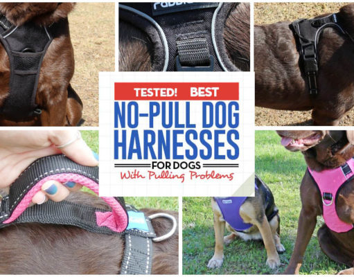 32 Best No-Pull Dog Harnesses for Dogs That Pull Too Much 32 Top Rated Dog Harnesses for Dogs That Pull in 2018