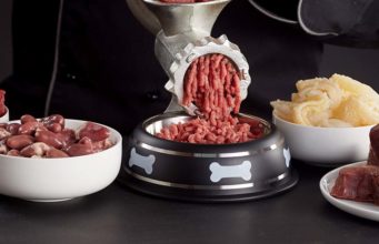 7 Best Raw Dog Food Recipes Raw Dog Food Recipes