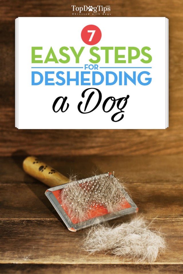 Deshedding a Dog 7 Most Effective Methods and 7 Best Tools to Use