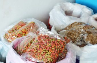 Picture of Pet Food Manufacturing Standards: USA vs Canada vs Europe vs China