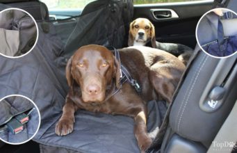 7 Best Car Seat Covers for Dogs to Protect Your Car’s Upholstery Best Car Seat Covers for Dogs for Cars