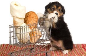 20 Best Dog Food Coupon Sites to Help You Save Best Dog Food Coupons and Coupon Sites