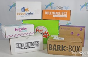 15 Best Dog Subscription Boxes Best Dog Subscription Box 2020