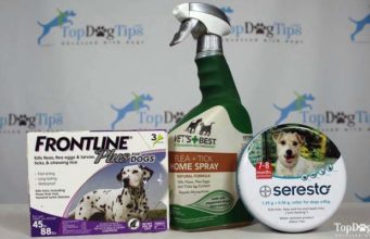 The 5 Best Flea Drops for Dogs Best Flea Drops for Dogs - Most Effective Brands