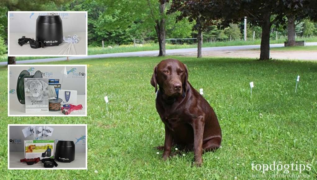 wireless custom shaped dog fence system