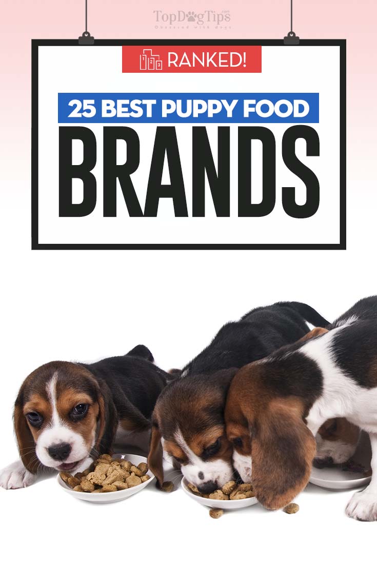 Top 25 Best Puppy Food Brands Of 2021 Dog Food Reviews Ranks