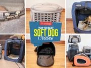 Top 10 Best Soft Dog Crates Best Soft Sided Dog Crates - Top 10 Rankings