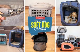 Top 10 Best Soft Dog Crates Best Soft Sided Dog Crates - Top 10 Rankings