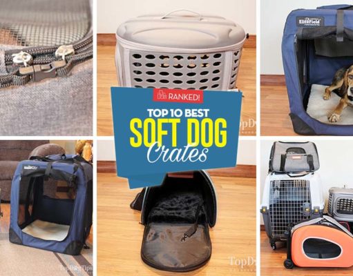Top 10 Best Soft Dog Crates Best Soft Sided Dog Crates - Top 10 Rankings