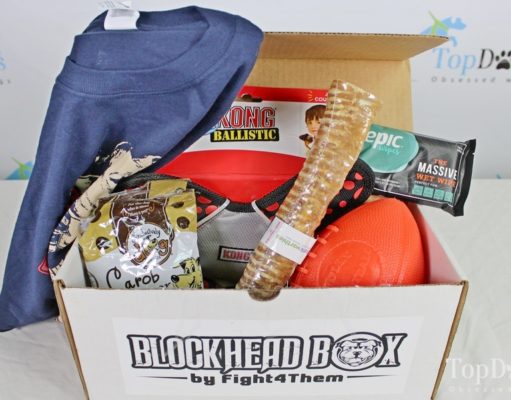 Review: Blockhead Box Dog Subscription Box best dog subscription box