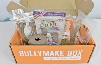 Review: Bullymake Box Dog Subscription Box (2018) The best dog subscription box