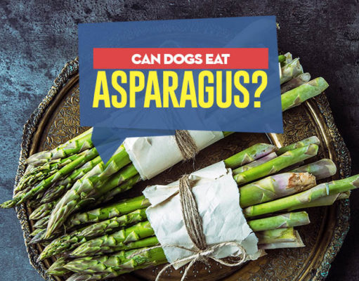 Can Dogs Eat Asparagus? Can my dog eat asparagus