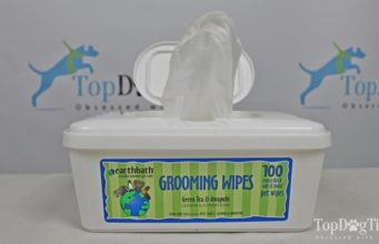 Review: EarthBath Grooming Wipes for Dogs (2021) best dog wipes