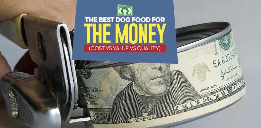 The Best Dog Food for the Money in 2020 (Cheap, Budget and Premium)