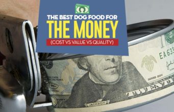 The Best Dog Food for the Money: 17 Brands Worth Their Price (from Cheap to Costly) Find Best Dog Food for the Money