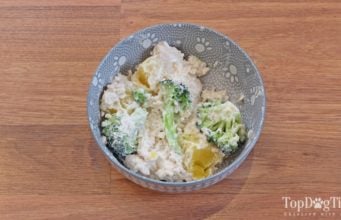 Recipe: Homemade Dog Food for Allergies Homemade Dog Food for Allergies