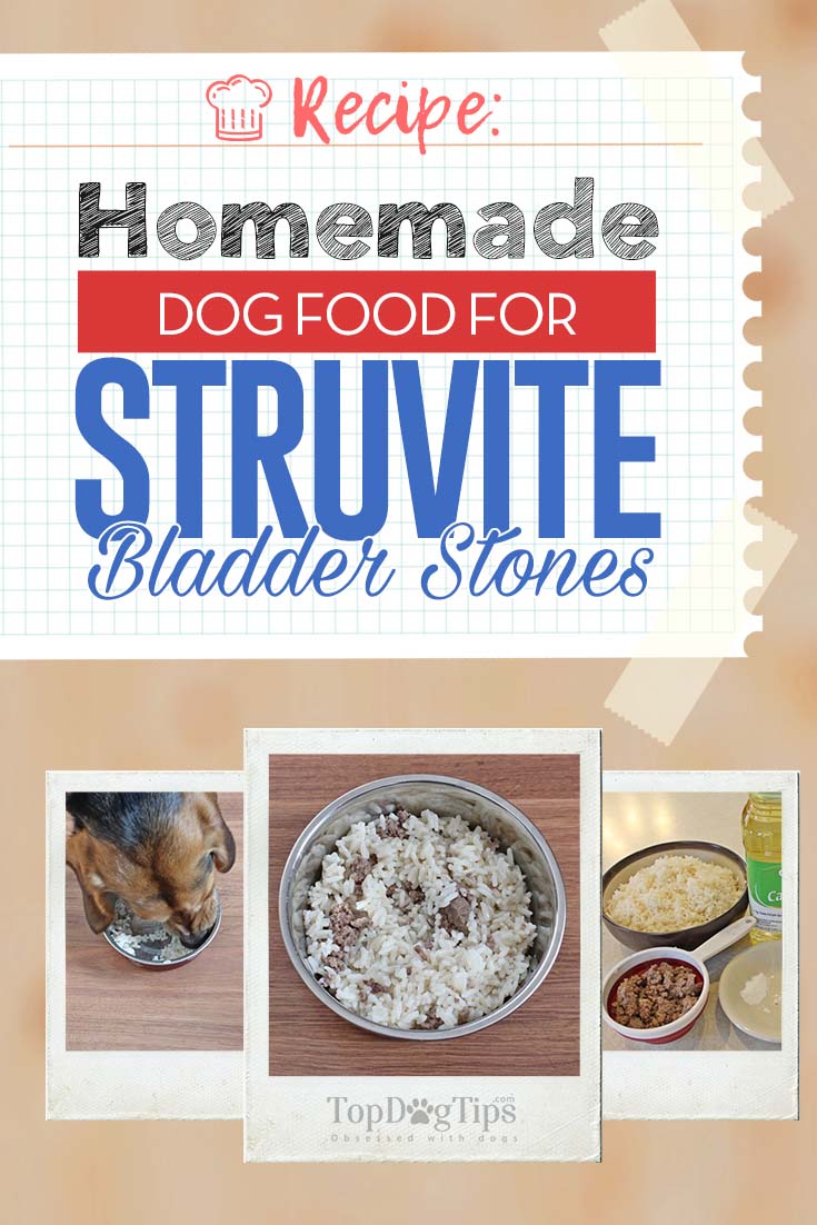 Homemade Dog Food for Struvite Bladder 