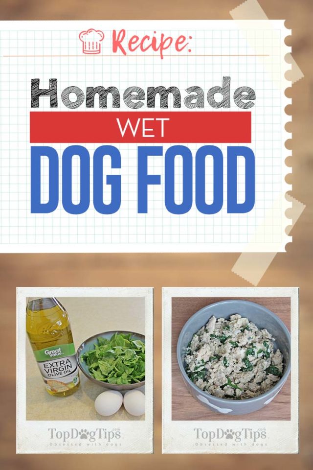 Homemade Wet Dog Food Recipe and Feeding Guidelines [incl. Video]