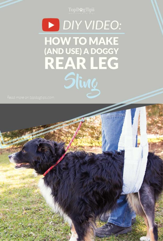 DIY Rear Leg Sling for Dogs How to Make and Use It(00)