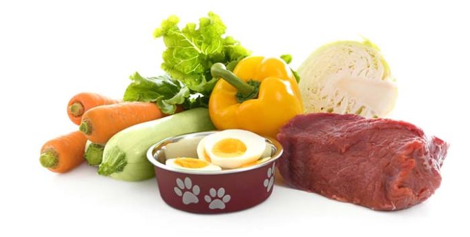 Image showcasing Arthritis Diet for Dogs: How You Should Feed Dogs With Arthritis