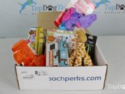 Review: Pooch Perks Dog Subscription Box (Updated 2023 Price!) best dog subscription box