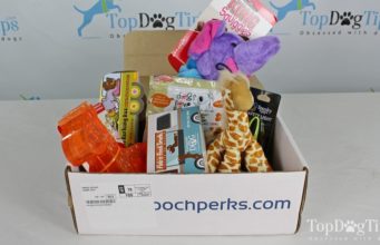 Review: Pooch Perks Dog Subscription Box (Updated 2023 Price!) best dog subscription box
