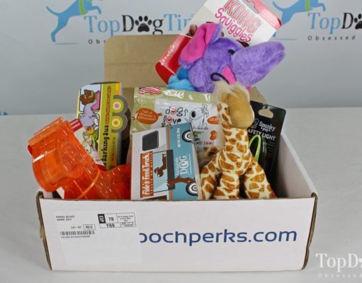 Review: Pooch Perks Dog Subscription Box (Updated 2023 Price!) best dog subscription box