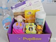 Review: PupBox Puppy Subscription Box best dog subscription box