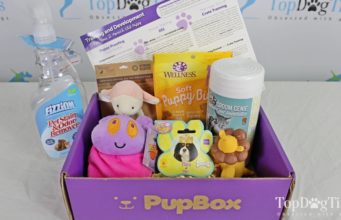 Review: PupBox Puppy Subscription Box best dog subscription box