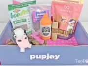 PupJoy Dog Subscription Box Review and Unboxing (Updated 2023 Price!) best dog subscription box