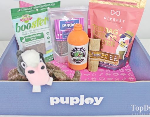 PupJoy Dog Subscription Box Review and Unboxing (Updated 2023 Price!) best dog subscription box