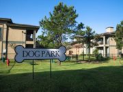 Seattle Builds Dog Park for Dogs of Homeless Women Seattle Builds Dog Park for Homeless Women