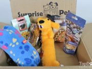 Review: Surprise My Pet Dog Subscription Box (2018) best dog subscription box