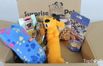 Review: Surprise My Pet Dog Subscription Box (2018) best dog subscription box