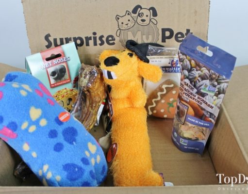 Review: Surprise My Pet Dog Subscription Box (2018) best dog subscription box