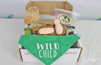 Review: Surprise Pawty Dog Subscription Box best dog subscription box