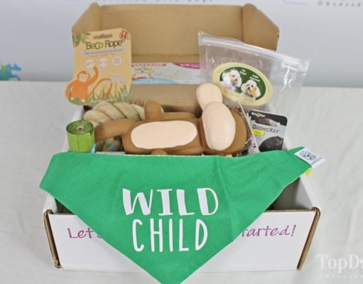 Review: Surprise Pawty Dog Subscription Box best dog subscription box