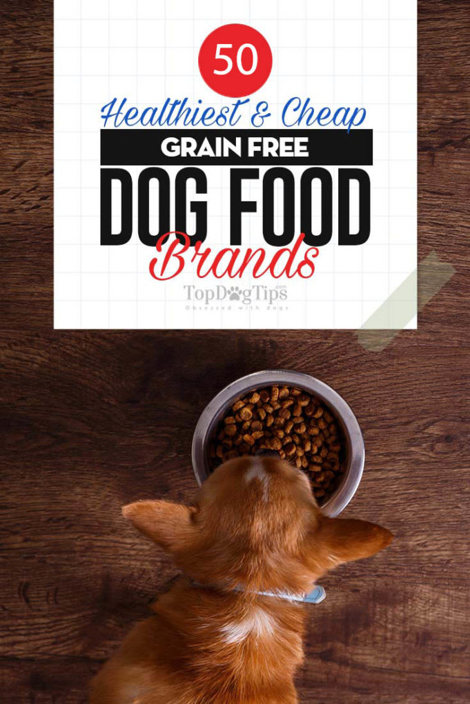 Top 50 Cheap Best GrainFree Dog Food Brands