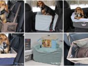 Top 15 Best Car Seats for Dogs The Best Car Seats for Dogs We Like