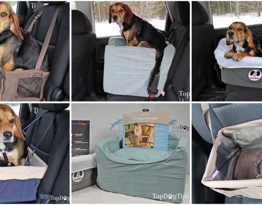 Top 15 Best Car Seats for Dogs The Best Car Seats for Dogs We Like