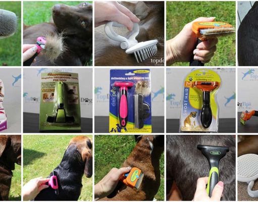 10 Best De-shedding Tools for Dogs Top 10 Best Deshedding Tools for Dogs