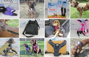Top 10 Best Dog Harnesses Top 10 Best Dog Harness 2020