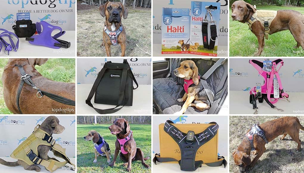 types of dog harnesses